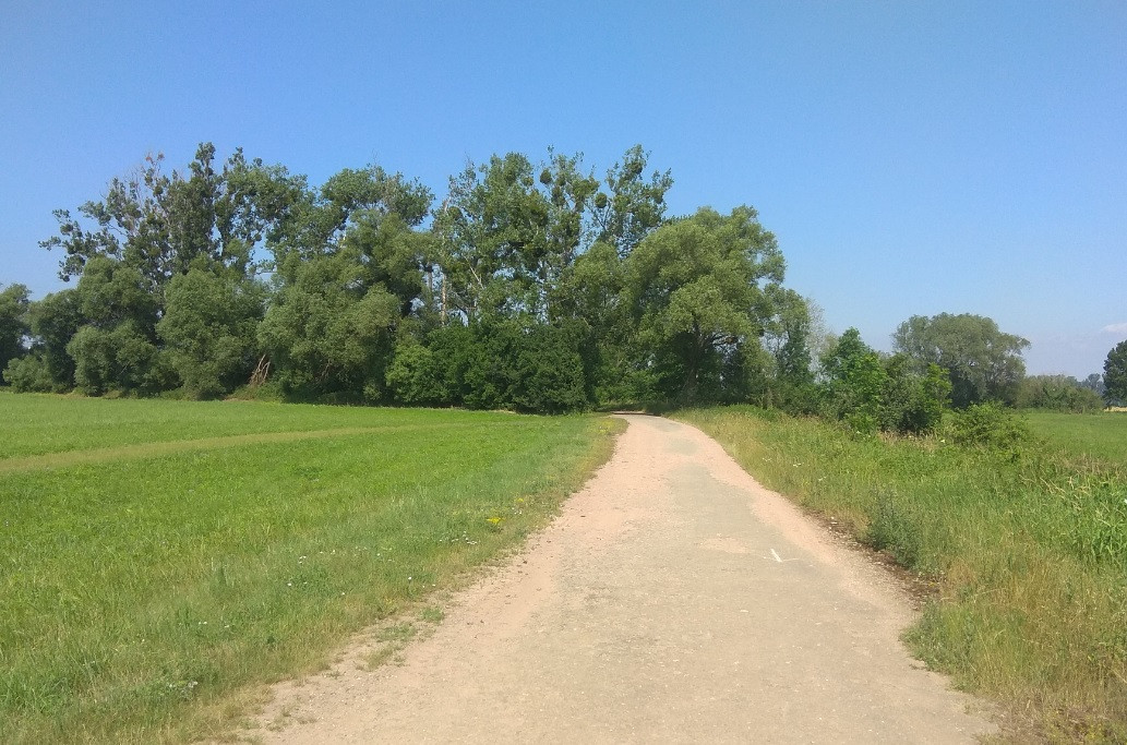Moravská stezka: úsek Mohelnice - Mladeč - Litovel